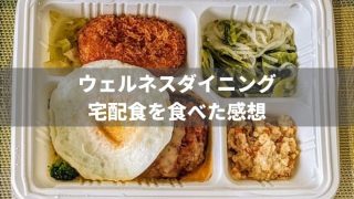 ウェルネスダイニングの宅配食 (弁当/料理キット) を実食レビュー!