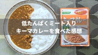 低たんぱくミート入りキーマカレーを食べた感想【たんぱく質制限食】