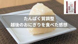 【たんぱく質調整】越後のおにぎりを食べた感想
