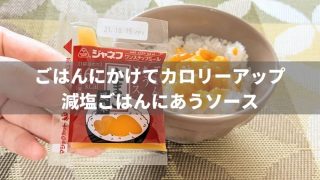 ごはんにかけてカロリーアップ!減塩ごはんにあうソース