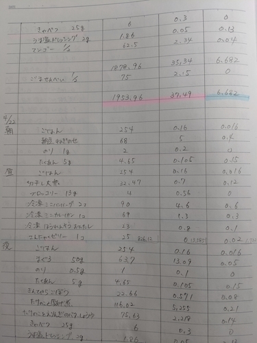 私が大学ノートに付けた食事記録